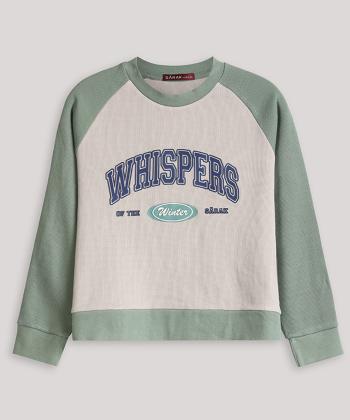 سویشرت پسرانه سارك مدل 0605170