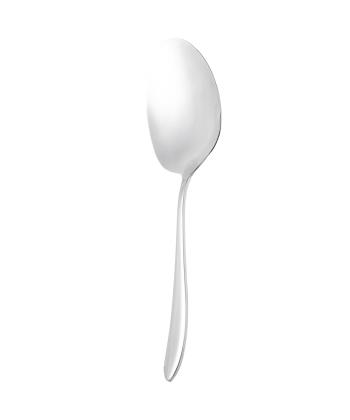 كفگير بزرگ استيل ام جي اس مدل DF050