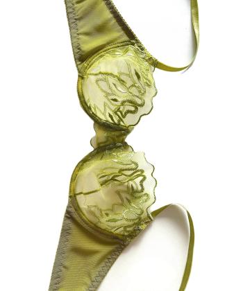 ست سوتین و شورت زنانه ژینا مدل 2010-14