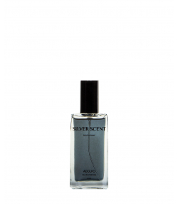 عطر جیبی مردانه آدولفو Adolfo مدل Silver Scent حجم 30 میلی لیتر