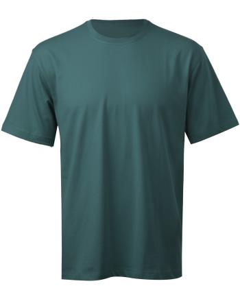 تیشرت آستین کوتاه مردانه هوکانی مدل 10769