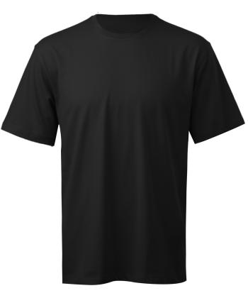 تیشرت آستین کوتاه مردانه هوکانی مدل 10773