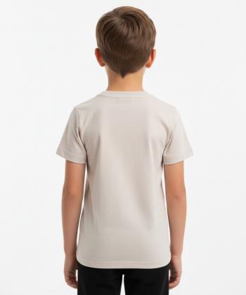 تیشرت پسرانه بالنو کد 8225201B018