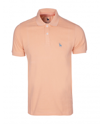 پولوشرت مردانه آروما Aroma کد 10201001