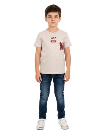 تیشرت آستین کوتاه پسرانه مندوست مدل am-Ma-10160