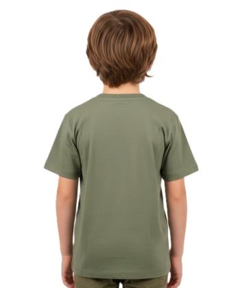 تیشرت آستین کوتاه پسرانه مندوست مدل am-Ma-10160