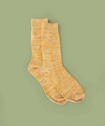 product-color