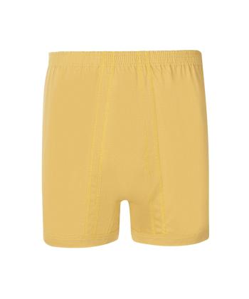 شورت پادار مردانه  مدل AM-Mer-31112 