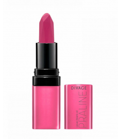 رژ لب جامد دیواژ Divage مدل Praline وزن 4 گرم