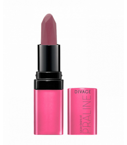 رژ لب جامد دیواژ Divage مدل Praline وزن 4 گرم