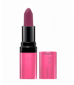 رژ لب جامد دیواژ Divage مدل Praline وزن 4 گرم