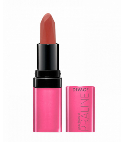 رژ لب جامد دیواژ Divage مدل Praline وزن 4 گرم
