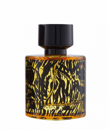 ادوپرفیوم مردانه مریاژ Maryaj مدل Wild Stripes حجم 100 میلی لیتر