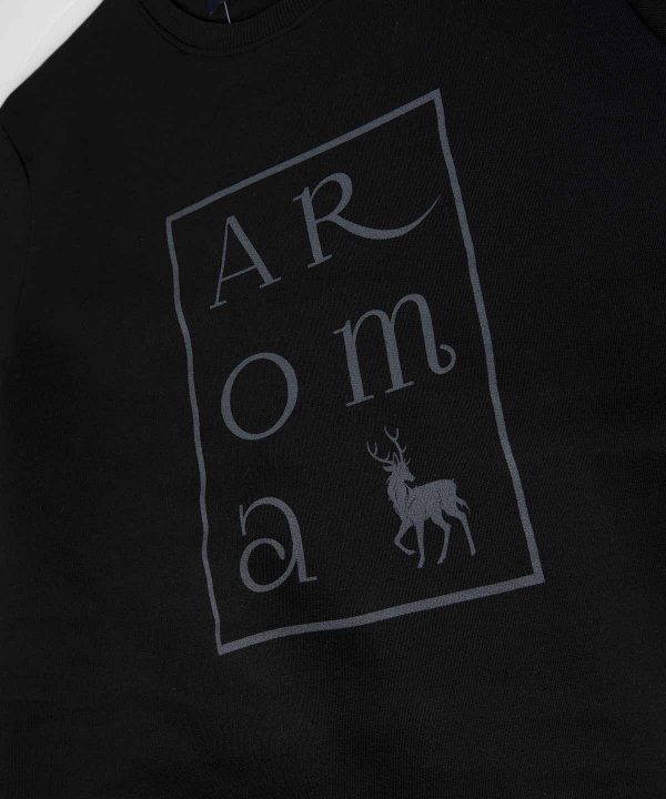 سویشرت مردانه آروما Aroma کد 12501027