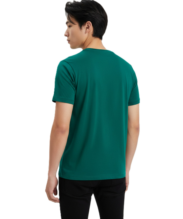 تیشرت مردانه هالیدی مدل D39204