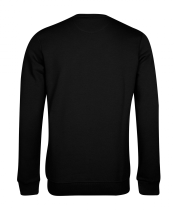 سویشرت طرح دار مردانه آروما Aroma کد 12501012