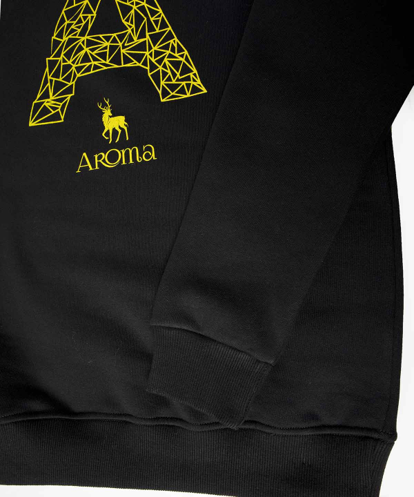 سویشرت طرح‌دار مردانه آروما Aroma کد 12501018
