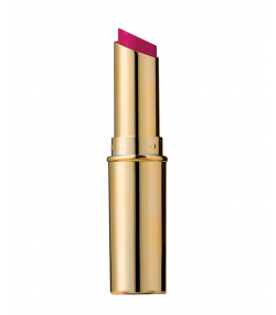 رژ لب جامد آسترا Astra مدل Velvet Lips