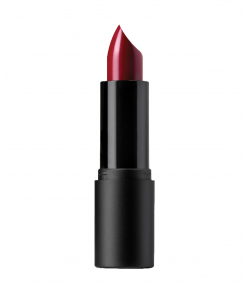 رژ لب جامد آسترا Astra مدل My Lipstick وزن 4.5 گرم