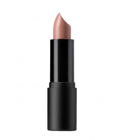 رژ لب جامد آسترا Astra مدل My Lipstick وزن 4.5 گرم