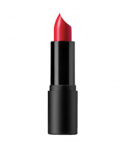 رژ لب جامد آسترا Astra مدل My Lipstick وزن 4.5 گرم