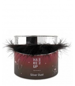 پودر براق کننده صورت و بدن میکاپ فکتوری Make Up Factory مدل Silver Dust