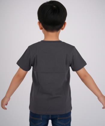 تیشرت پسرانه بالنو کد 8225201B019
