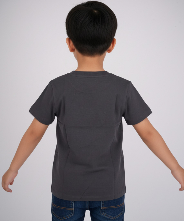تیشرت پسرانه بالنو کد 8225201B019