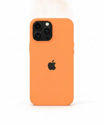قاب سيليكوني پاك كني محافظ لنزدار اورجينال Apple iPhone 17