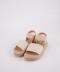 کرم