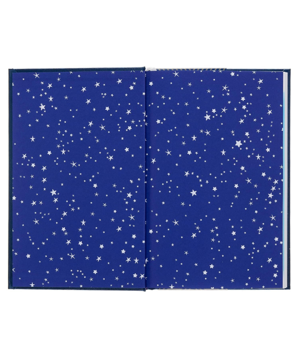 كتاب The Little Prince