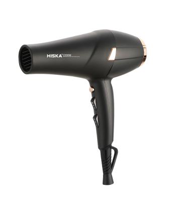 سشوار حرفه اي 2200 وات هيسكا مدل H5257