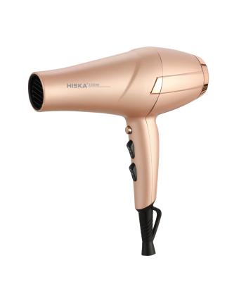 سشوار حرفه اي 2200 وات هيسكا مدل H5257