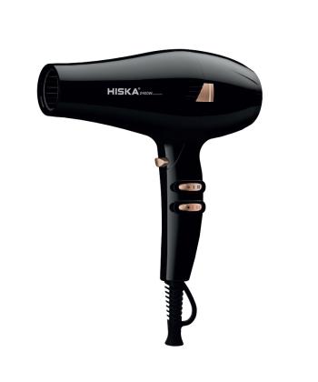 سشوار حرفه اي 2400 وات هيسكا مدل H5253