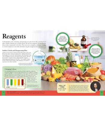 كتاب Children's Encyclopedia of Chemistr