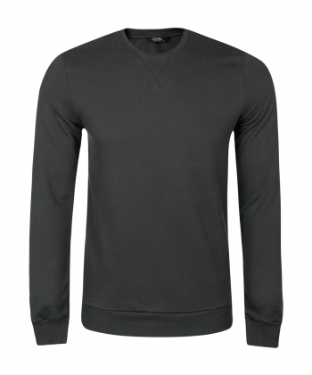 سویشرت مردانه ال سی وایکیکی LC Waikiki کد 0W47099