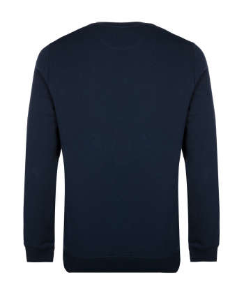 سویشرت مردانه آروما Aroma کد 12501031