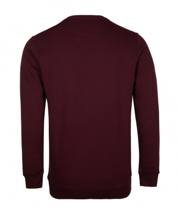 سویشرت یقه گرد مردانه آروما Aroma کد 12501501