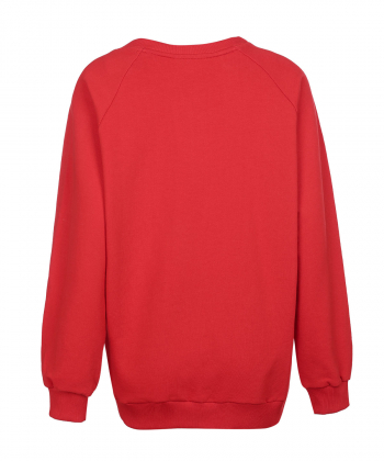 سویشرت زنانه زیبو Ziboo مدل آستین رگلان