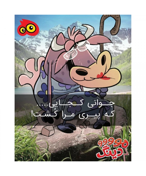 بازي فكري مدل مودينگ كيكو مدل 6260005115916