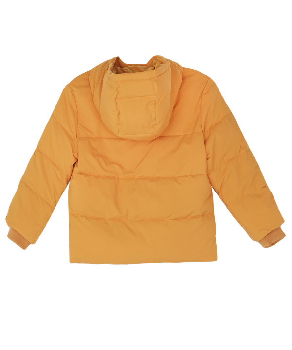 کاپشن پسرانه جین وست Jeanswest کد 04522506