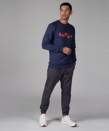 سویشرت مردانه آروما Aroma کد 12501403