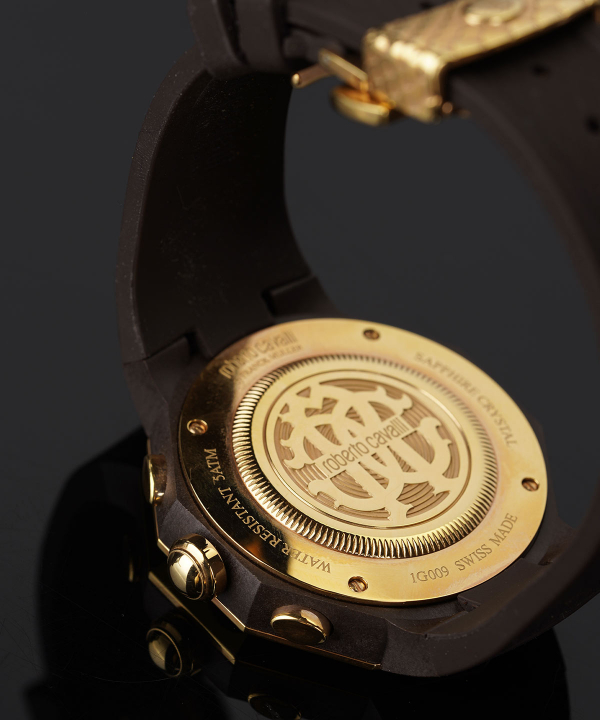ساعت مچی مردانه روبرتو کاوالی Roberto Cavalli مدل RV1G009P0011