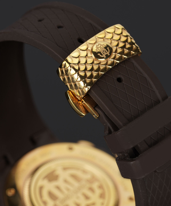 ساعت مچی مردانه روبرتو کاوالی Roberto Cavalli مدل RV1G009P0011