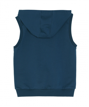 جلیقه پسرانه کلاه دار ال سی وایکیکی LC Waikiki کد 0W36327