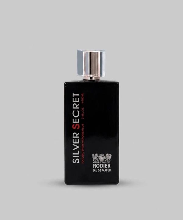 ادکلن مردانه 100 میلی لیتر مردانه رودیر مدل Silver Scent