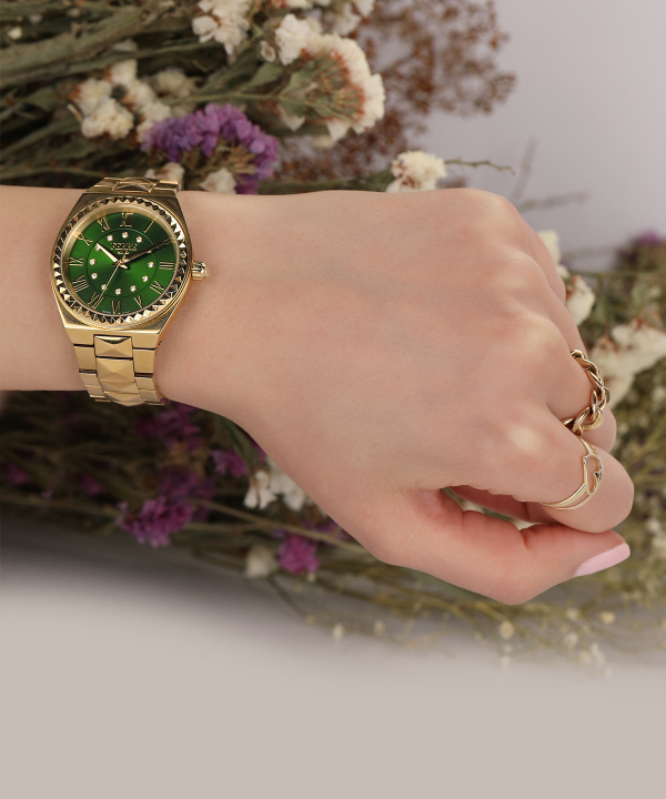 ساعت مچی عقربه‌ای زنانه فره میلانو Ferre Milano مدل FM1L048M0071