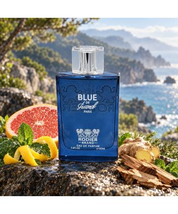 ادوپرفیوم حجم 100 میلی لیتر مردانه رودیر مدل Blue D Chanel