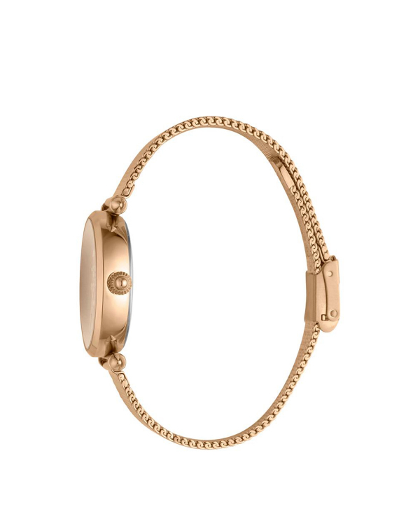 ساعت مچی زنانه جاست کاوالی Just Cavalli مدل JC1L085M0075