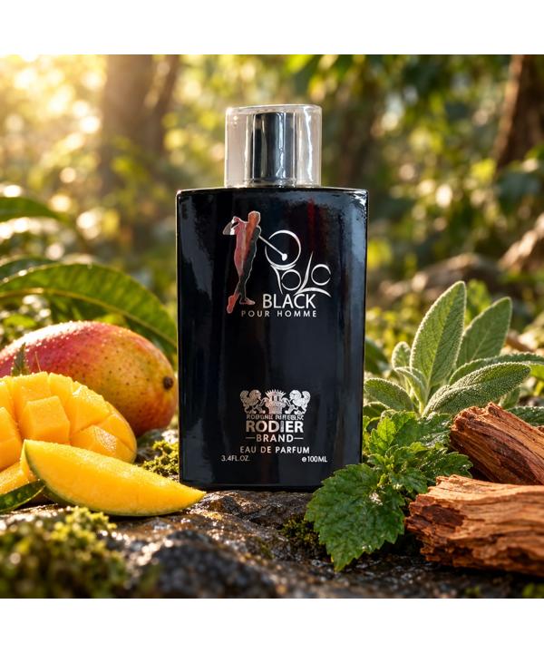 ادوپرفیوم حجم 100 میلی لیتر مردانه رودیر مدل Polo Black